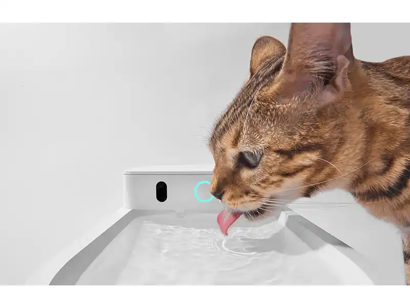 kass joob CATLINK PURE 3 joogifontäänist